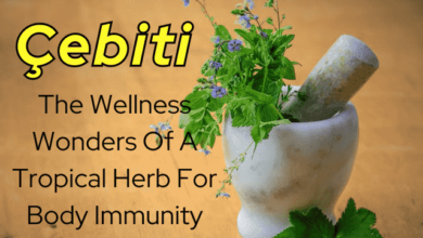 Çebiti The Wellness Wonders Of A Tropical Herb For Body Immunity