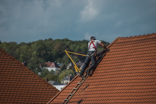 roofs