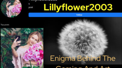 Lillyflower2003 Enigma Behind The Gaming And Art Phenomenon