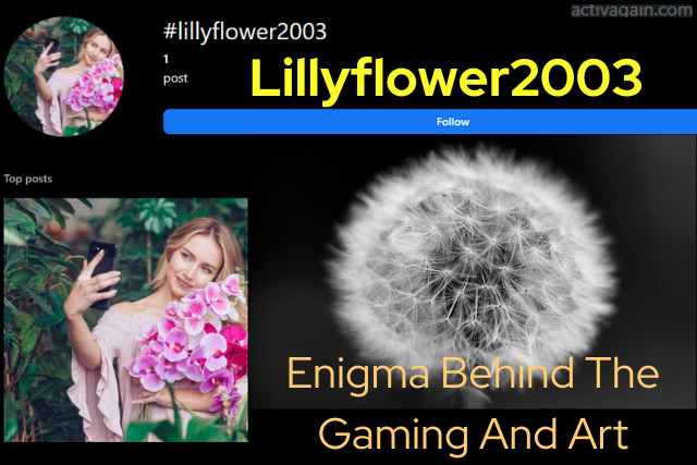 Lillyflower2003 Enigma Behind The Gaming And Art Phenomenon